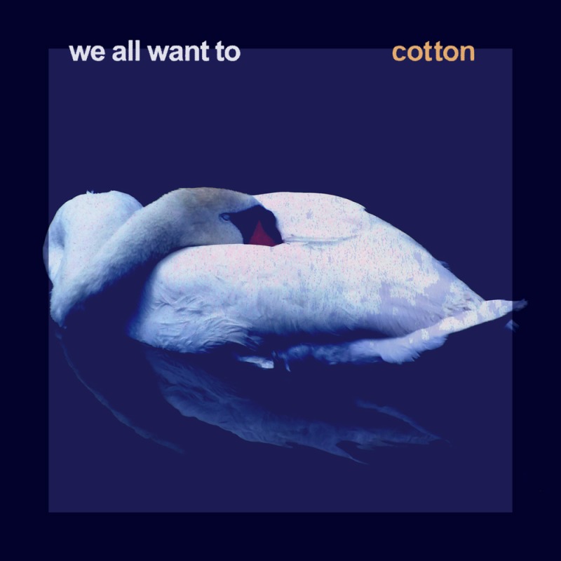 Cotton